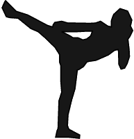 icon2